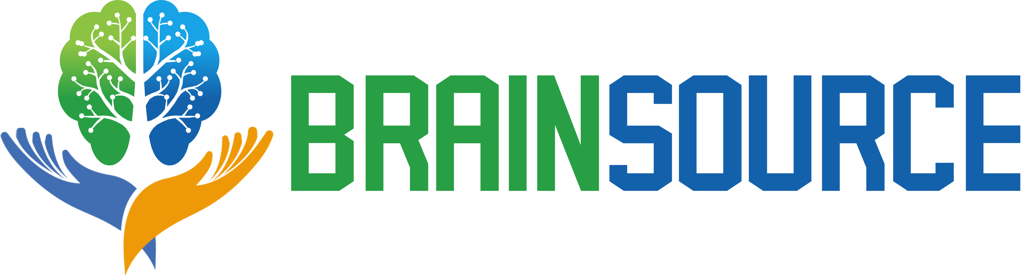 Brainsource-logo